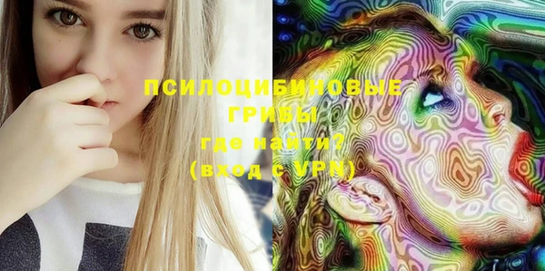 ешки Нефтегорск