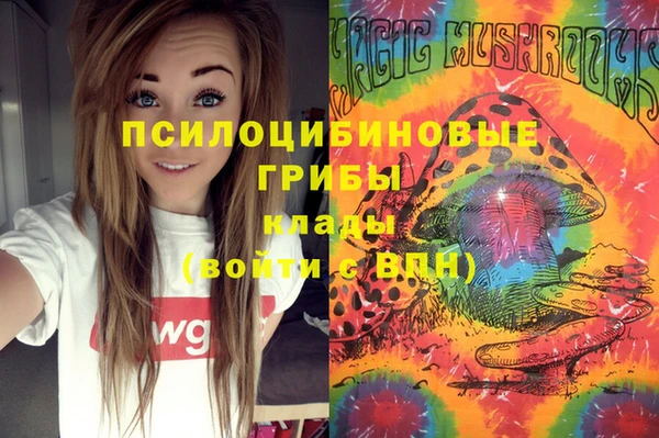тгк Нефтекумск