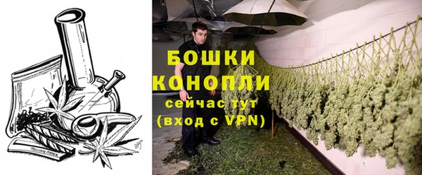 ешки Нефтегорск